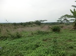 51964CIMG0706.JPG