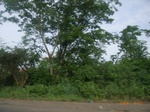 3721RIMG0024.JPG