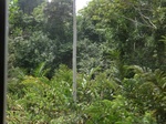 49614CIMG5951.JPG