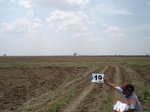 6148019c-rainfed-groundnut-cotton-chilli-fallowfarms.jpg