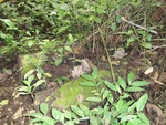 46855DSC02202.JPG