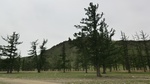 33733CIMG2385.JPG