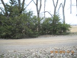 9475DSCN0922.JPG