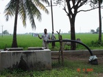 132820358d-irrigated-supplemental-groundwater-rice-tripplecrop-rice-greengram.gif
