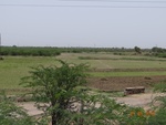 52172Tank ID 1800305 Basavanahalli 2.JPG