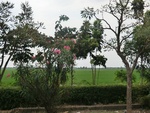 31600CIMG1466.JPG