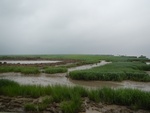 54412DSCN1692.JPG