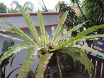 15930IMG_4479.JPG
