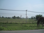 34503IMG_5486.JPG
