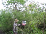1173516-shrubland-significant-neem-forest-iucnb.jpg
