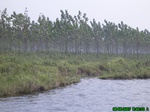 4662007-08-05_09-45-33_tag.jpg