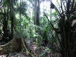 46346CIMG0635.JPG