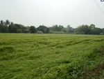 9200DSC01171.JPG