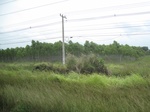 33371IMG_5711.JPG