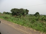 50755CIMG1384.JPG