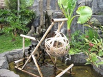 16389IMG_5173.JPG