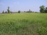 26498RIMG0429.JPG