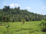 15851IMG_4392.JPG