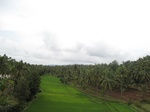 15525IMG_4595.JPG