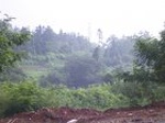 1189R0015044_small.jpg