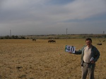 10241040-Irrigated (Surface water) Fallow farm-a.jpg