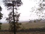 3073 006.jpg