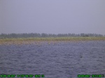 1508R0015203_tag.jpg