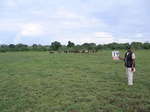 824019-lakebed-grasses-herbs-iucna.jpg