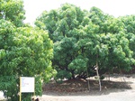 502420042008(51).JPG