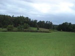 32374p106_s.jpg