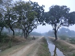 40222CIMG9232.JPG
