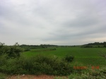 53973CIMG4725.JPG