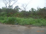 3711RIMG0014.JPG