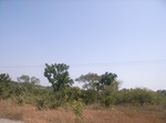 9034RIMG0112.JPG