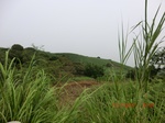 33186CIMG2424.JPG