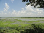 24634DSC00853.JPG