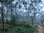 52896CIMG4986_调整大小.JPG