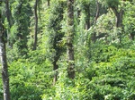 17536100_2797.JPG