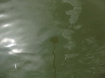 58308CIMG2756.JPG