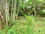 30760CIMG0600.JPG