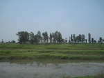 34509IMG_5492.JPG
