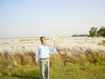 6672gt122-wetland-2.jpg