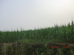 32815CIMG1947.JPG