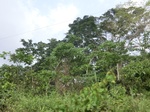 49809CIMG6146.JPG