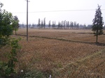 3164R0017198.JPG