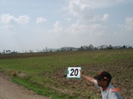 6150020b-irrigated-canal-rice.jpg