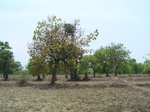 17436100_2124.JPG