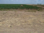 39296TIPT20110719N.JPG