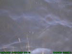 1514R0015206_tag.jpg