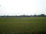 21821DSC08379.JPG